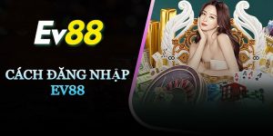 Chỉ nên đăng nhập EV88 tại trang web chính chủ